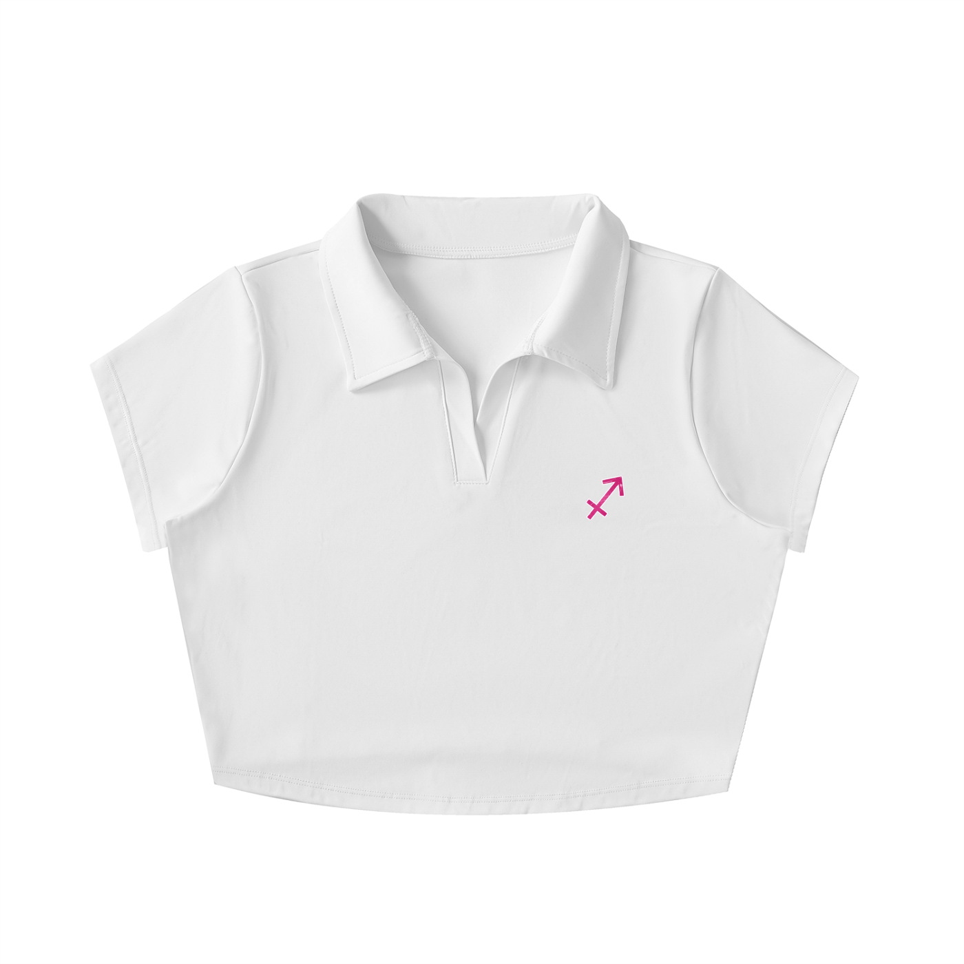 Sagittarius  Sign Crop Top